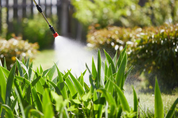 Tamper-Resistant Bait Stations for Rodents in Cooperstown