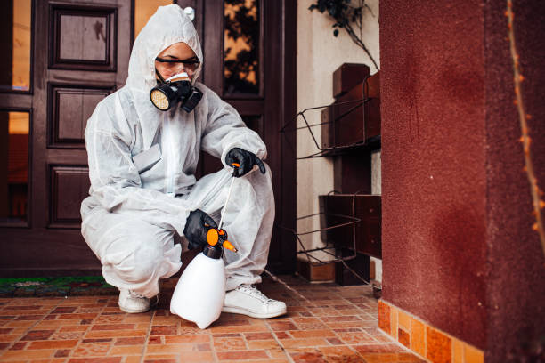 Attic and Crawl Space Rodent Treatment in Cooperstown